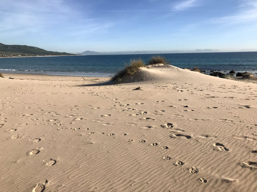 playa-bolonia-duna
