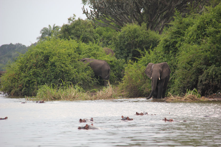 safari-canal-kazinga-uganda-2