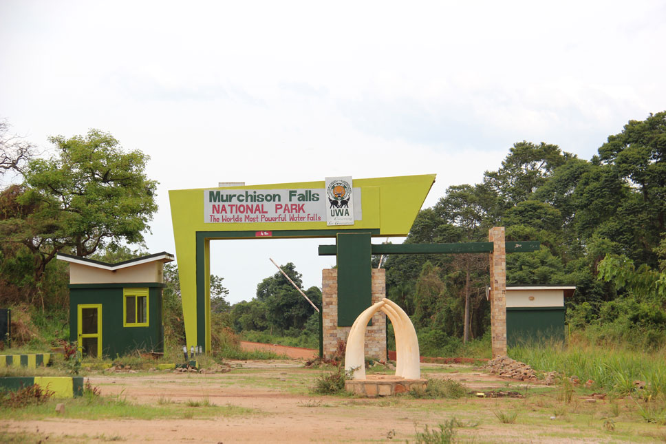 safari-uganda-entrada-murchison