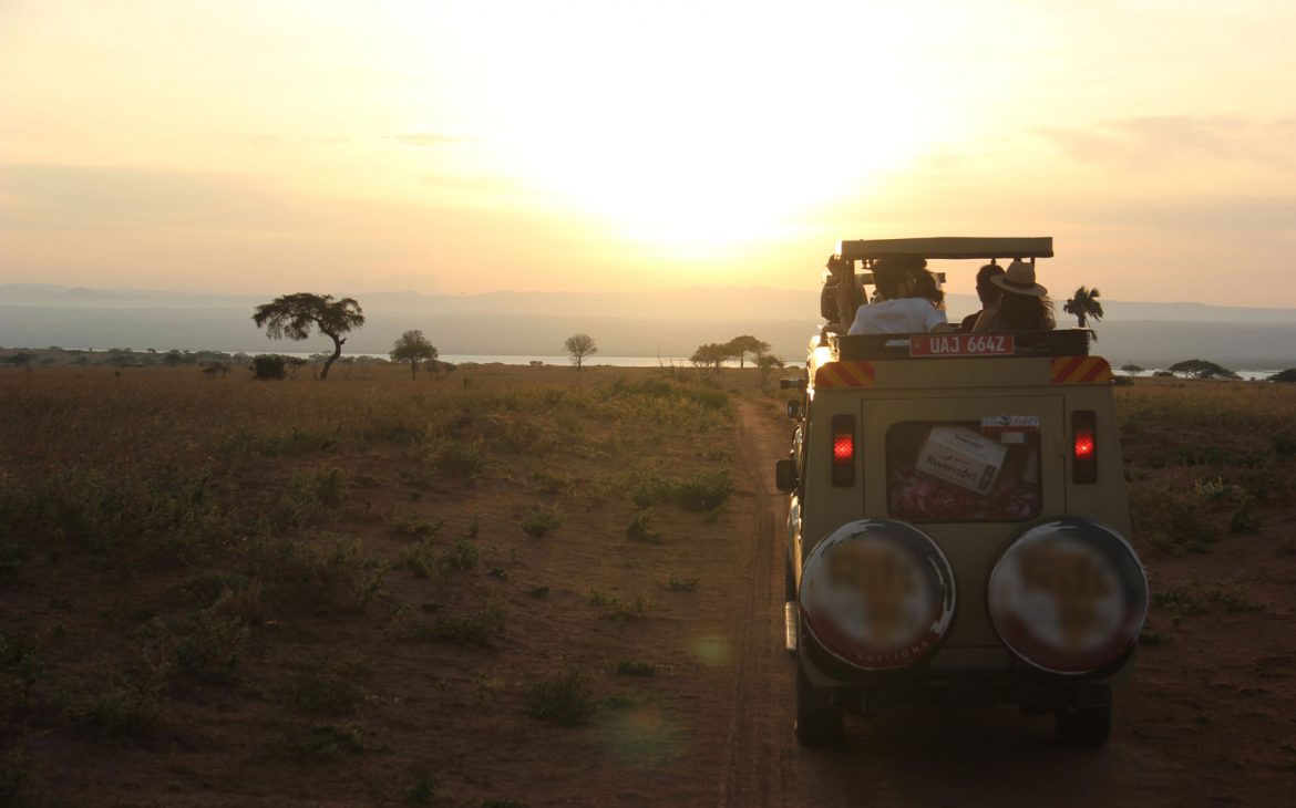 safari-uganda-murchison-atardecer