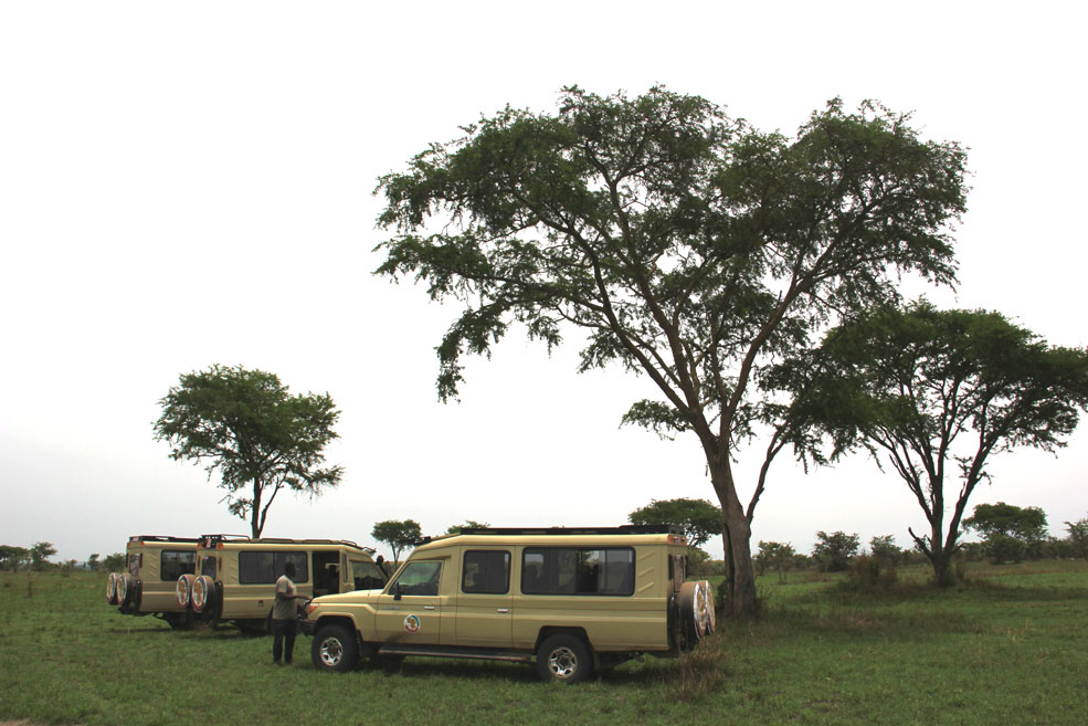 safari-uganda-queen-elisabeth-coches