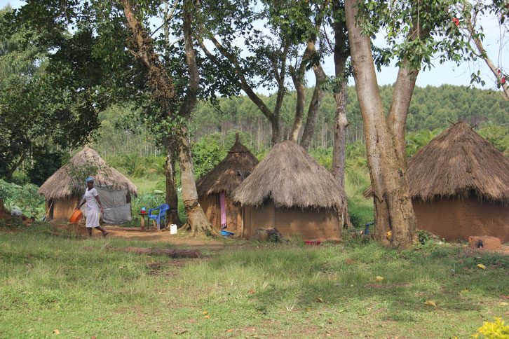 viaje-uganda-mabamba-chozas