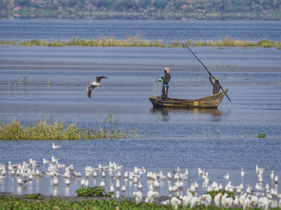 viaje-uganda-murchison-pescadores-nilo