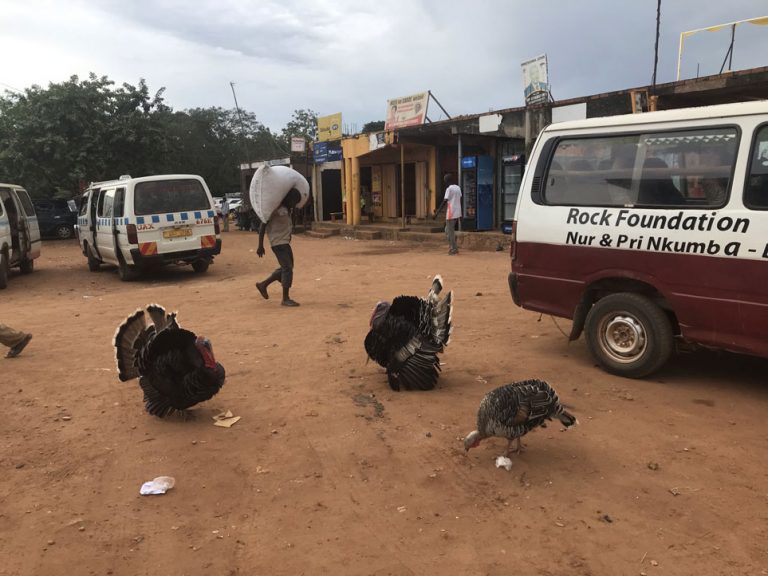 Que ver en Entebbe en un día 224 Que ver en Entebbe en un día